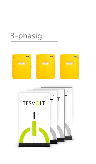 3x SMA Sunny Island SI 3.0M-11 und Tesvolt Li 10 Leistung 9 kWh nutzbar (bei 90%) inkl Notstrombox E